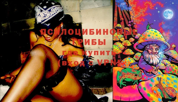 скорость Алексин